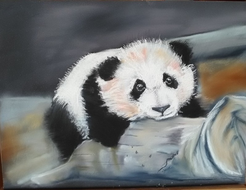 le petit panda pour Raphaël